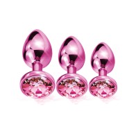 Nixie Metal Butt Plug Trainer Set Pink