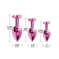 Nixie Metal Butt Plug Trainer Set Pink