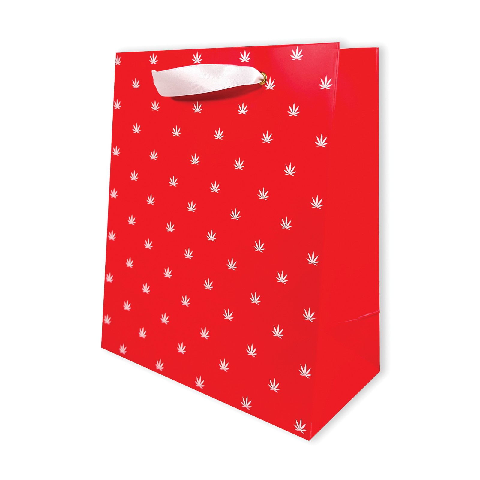 Polka Dot Gift Bag