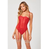 Valentine's Heart Mesh Bustier and Panty XL