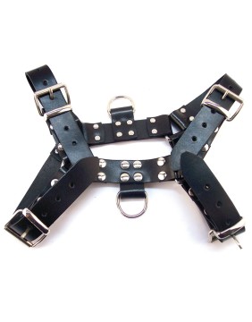 Creative Body Harnesses for Intimacy